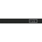 RAIDER, Black Matte-Bronze with Silver Spectra Mirror & LL Persimmon, hi-res image number null